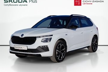 1.5TSI 150KM MC SalonPL SerwisASO Acc Virtual Matrix Kessy Winter