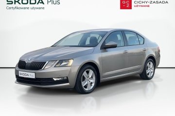 1.5TSI 150KM Ambition SalonPL Serwis Hak Smartlink+ Led Tempomat